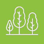 Image Description: A bright green box with a white line item illustration of three trees.