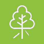 Image Description: A bright green box with a white line item illustration of a tree with falling limbs.