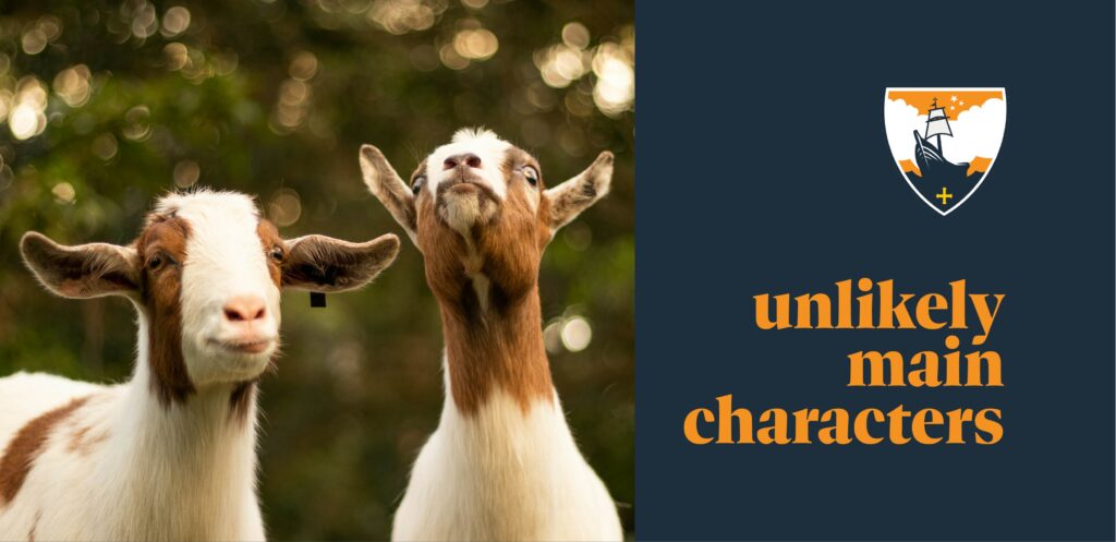 Two goats stand outdoors against a blurred green background. On the right, bold text reads unlikely main characters next to a crest featuring a ship and a cross.